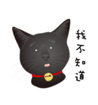 black cat RUKA（個別スタンプ：13）