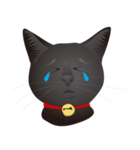 black cat RUKA（個別スタンプ：18）