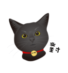 black cat RUKA（個別スタンプ：21）