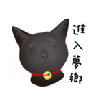 black cat RUKA（個別スタンプ：23）