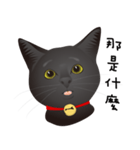 black cat RUKA（個別スタンプ：31）