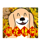 Auspicious words of the Year of the Dog（個別スタンプ：6）