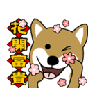Auspicious words of the Year of the Dog（個別スタンプ：30）