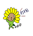 Sunflower seeds（個別スタンプ：16）