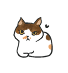 hi hi Calico cat（個別スタンプ：1）