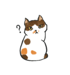 hi hi Calico cat（個別スタンプ：5）