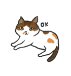 hi hi Calico cat（個別スタンプ：7）