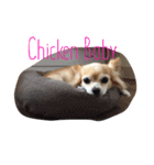 Chickenbaby（個別スタンプ：5）