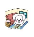 Four little white puppies' lifestyle.（個別スタンプ：5）