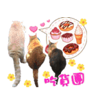 seven small blessing home（個別スタンプ：4）