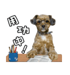 Cat ＆ dog love each other in family-Dog（個別スタンプ：5）