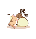 Scouts squirrel（個別スタンプ：2）