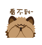 Happy New Year with Chow Chow WANG（個別スタンプ：7）