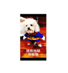 Lovely Baby Dog Comes 1st（個別スタンプ：1）