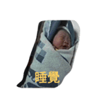 baby Han Han（個別スタンプ：2）