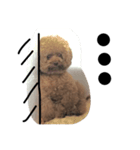 Dolly's daily（個別スタンプ：3）