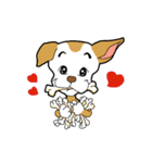 balance ear dog（個別スタンプ：8）