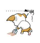 balance ear dog（個別スタンプ：10）