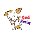 balance ear dog（個別スタンプ：13）