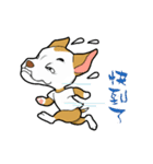 balance ear dog（個別スタンプ：18）