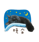 黒い猫プレイヤー -1- リアルキャット（個別スタンプ：13）