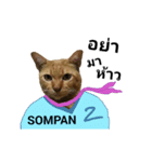 Sompan,The Moody Cat.（個別スタンプ：1）