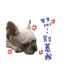 French Bulldog-MiHsu（個別スタンプ：5）