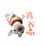 French Bulldog-MiHsu（個別スタンプ：6）