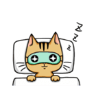 Cat one（個別スタンプ：35）