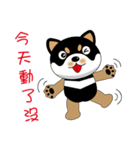 Black Shiba dog - Black Lulu daily（個別スタンプ：14）