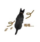 Black Fat Dog（個別スタンプ：7）