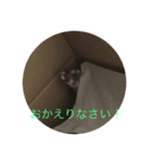 優希君（個別スタンプ：8）