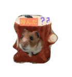 Hamster's Maka-chan（個別スタンプ：4）