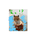 Hamster's Maka-chan（個別スタンプ：6）