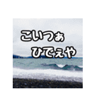 うろやしやも(実写版5)（個別スタンプ：8）