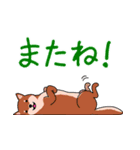 かわいい動物のスタンプセット（個別スタンプ：16）