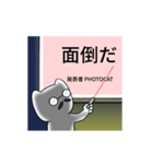 Photocat's Presentation（個別スタンプ：1）