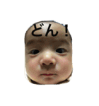 ko---kun2（個別スタンプ：5）