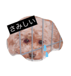 わんわんスタンプ♡（個別スタンプ：3）
