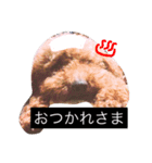 わんわんスタンプ♡（個別スタンプ：7）