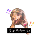 わんわんスタンプ♡（個別スタンプ：9）