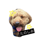 わんわんスタンプ♡（個別スタンプ：11）