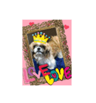 たまおさん家の犬。名前はヂルチ（個別スタンプ：13）