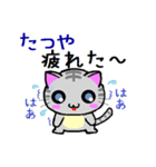 たつや ねこ（個別スタンプ：11）