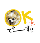 Bow Wow Life（個別スタンプ：8）