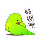 Parrot KIMI says happy new year（個別スタンプ：10）