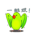 Parrot KIMI says happy new year（個別スタンプ：19）