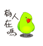 Parrot KIMI says happy new year（個別スタンプ：37）