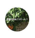 病人ラクラク会話できる（個別スタンプ：9）