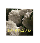 病人ラクラク会話できる（個別スタンプ：22）